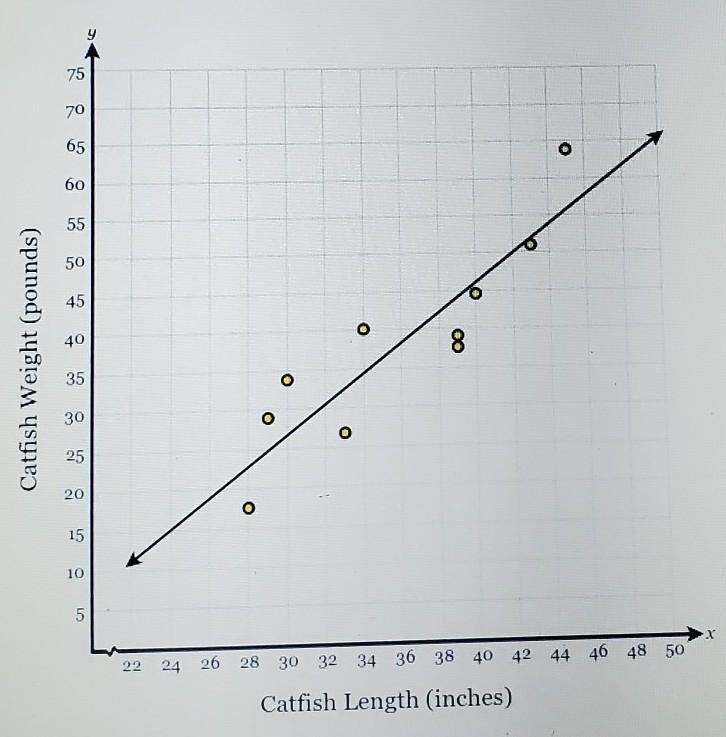 Nathan decides to research the relationship between the length in inches and theweight-example-1