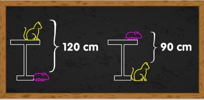 How tall is this table?-example-1