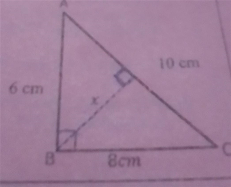 Find the x number i will gave 10 points​-example-1