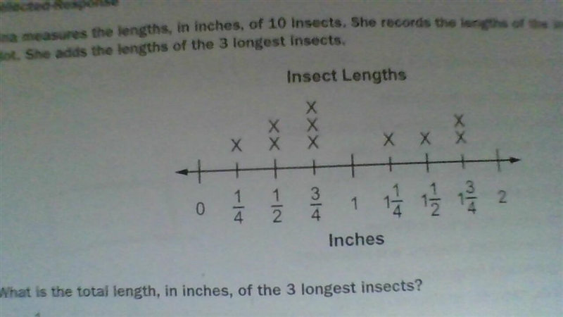 The answer choices are A. 2 1/4 inches B. 3 inches C. 4 1/2 inches D. 5 inches-example-5