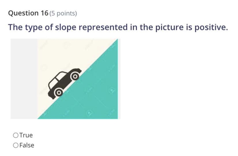 The type of slope represented in the picture is positive. True False-example-1