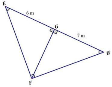 PLEASE HELP Find the length of segment FG.-example-1