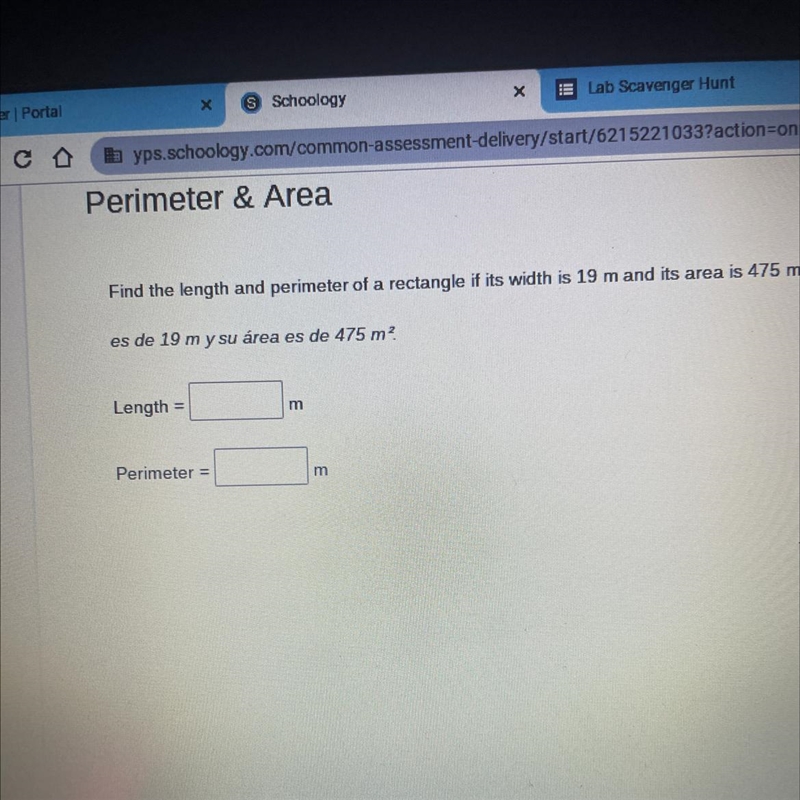 Find the length and perimeter of a rectangle if its width is 19 m and its area is-example-1