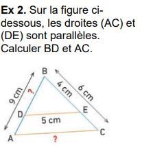 Bonjour je n'y arrive pas, quelqu'un pourrait m'aider s'il vous plaît ?-example-1