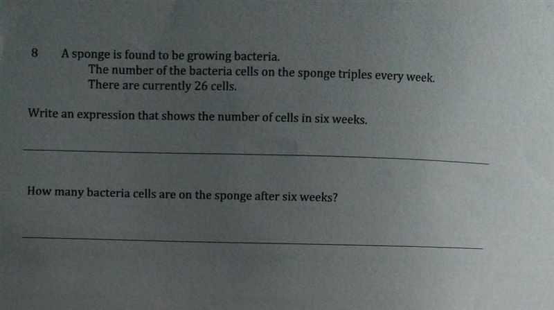 8 A sponge is found to be growing bacteria. The number of the bacteria cells on the-example-1