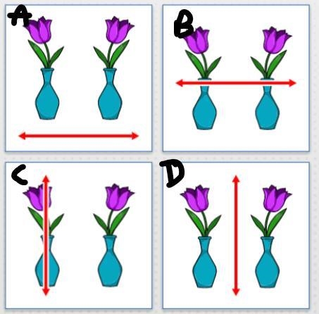 50 points HELPP QUICK which picture shows the line of reflection?-example-1