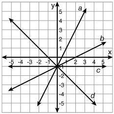 Which line is the graph of y = 2x - 1? line a line d line c line b-example-1