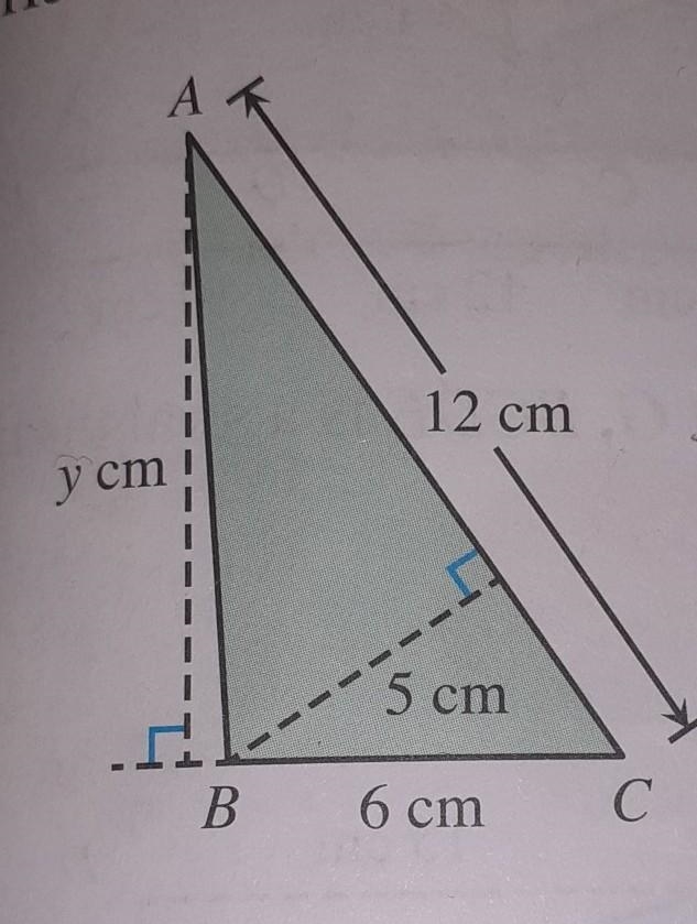 Find the value of y ​-example-1