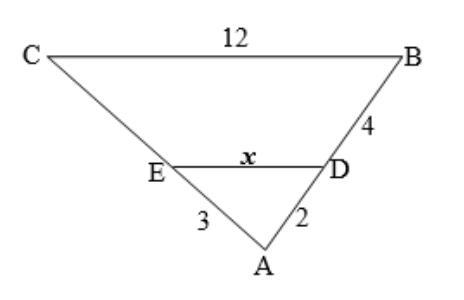 The triangles below are similar. What is the value of x ?-example-1