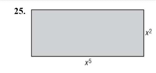 Express the area of the following figure as a monomial.-example-1