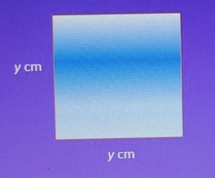 The area of this parallelogram is 49 square centimeters.y = ____ cm.-example-1