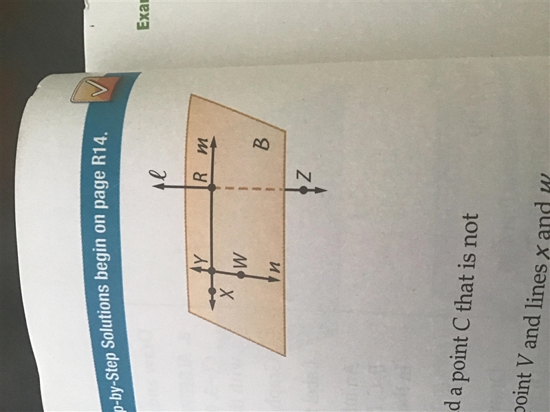 Geometry A line containing point Z-example-1