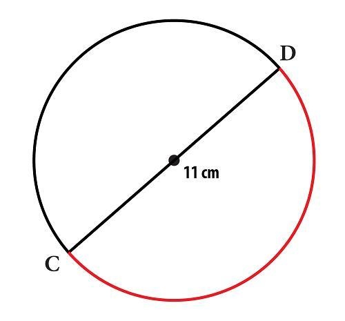 Find the length of CD shown in red below. Show all work. PLEASE HELP-example-1