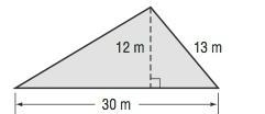 What is the area of the triangle shown below? m2-example-1