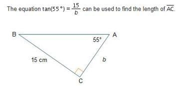 The equation Tan (55°) = 15/b can be used to find the length of AC. How can I find-example-1