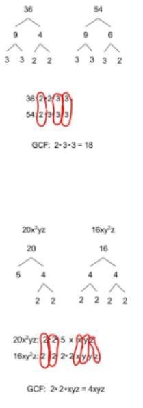 PLEASE HELP ME!!!! THIS IS DUE SOON! In this module we reviewed finding the GCF of-example-1