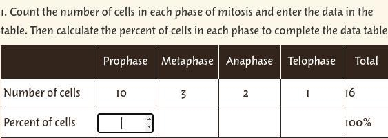 Hi, So I have the number of cells in the data table however I HAVE NO CLUE how to-example-1