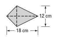 Find the area of the kite?-example-1