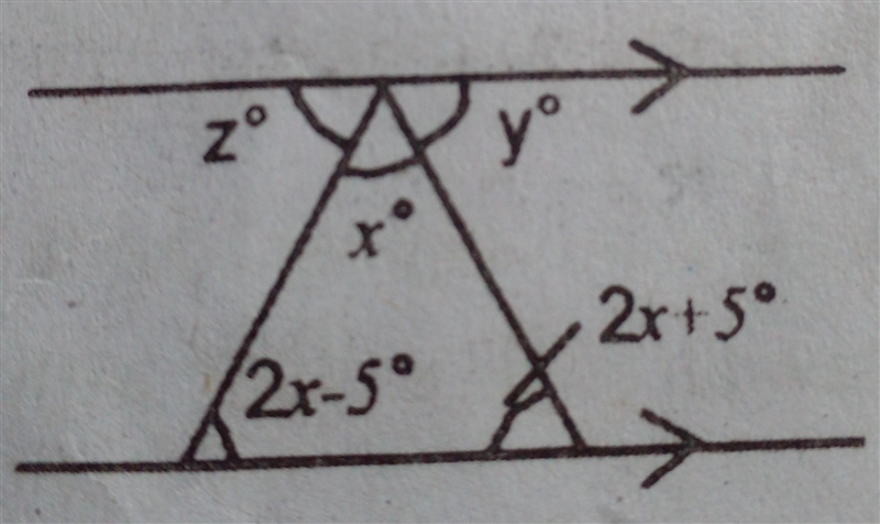 Find the value of x,y and z from the following figure.​-example-1