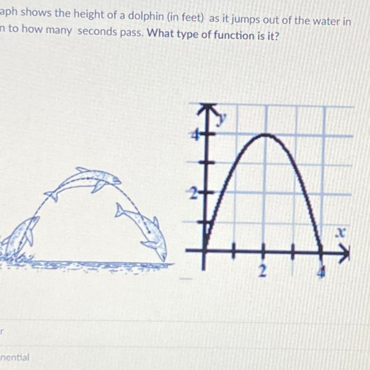 Please help!! The graph shows the height of a dolphin (in feet) as it jumps out of-example-1