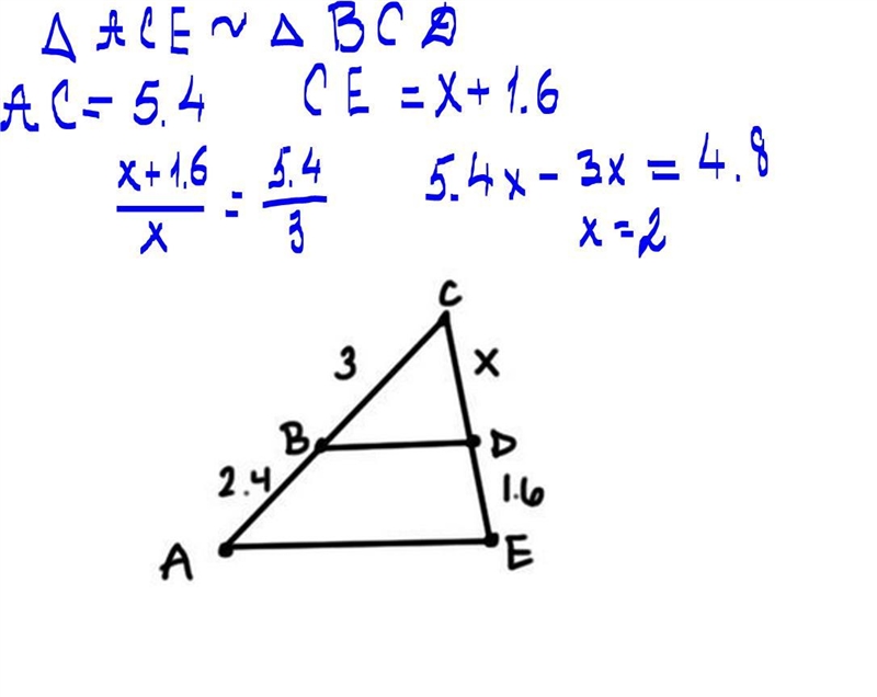 Line segment AE is parallel to line segment BD. Which of the following equations will-example-1