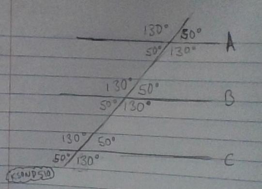 Put in all the angle measurements.-example-1