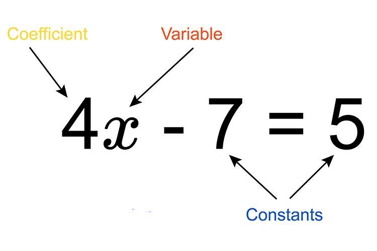 Which of the following is a coefficient in the expression 822 + 6?-example-1