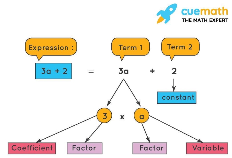 Identify the coefficient of -24x7y3-example-1