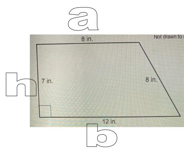 Drawn to scale find the area of the figure-example-1