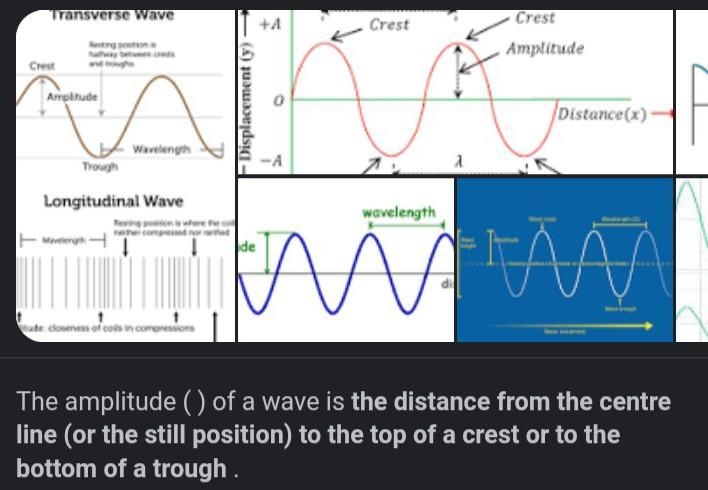 What are the period and amplitude of the function? period T; amplitude : 1.5 • period-example-1