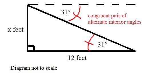 Please help! There are only 3 choices. Find the height of the tree in feet if the-example-1