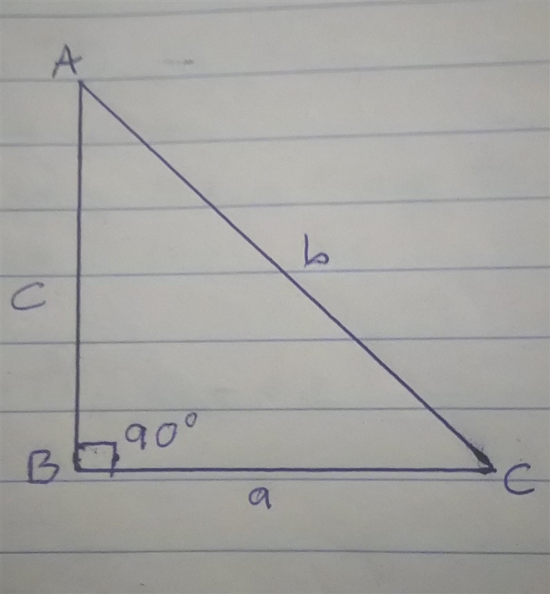 Draw any ∆ ABC with ^B = 90°​-example-1