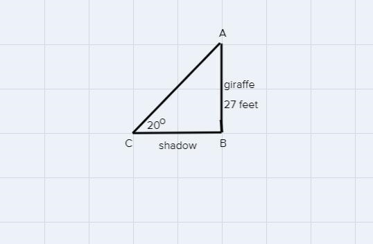 Set up and solve. Round answers to the nearest tenth.A young giraffe casts a shadow-example-1