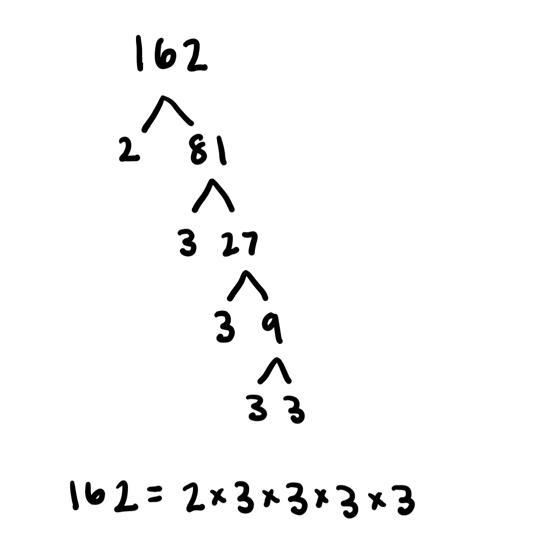 Factorización prima de 162-example-1