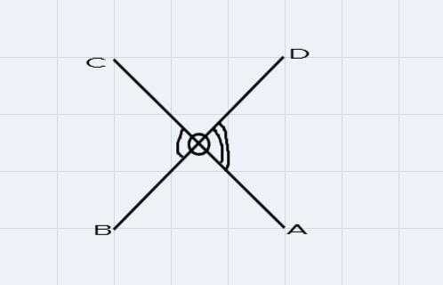 a student claims that a 180 degree rotation of a vertical angle will always map to-example-2