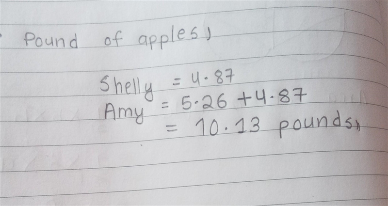 Amy has 5.26 more pounds of apples than Shelly. Shelly has 4.87 pounds of apples. How-example-1