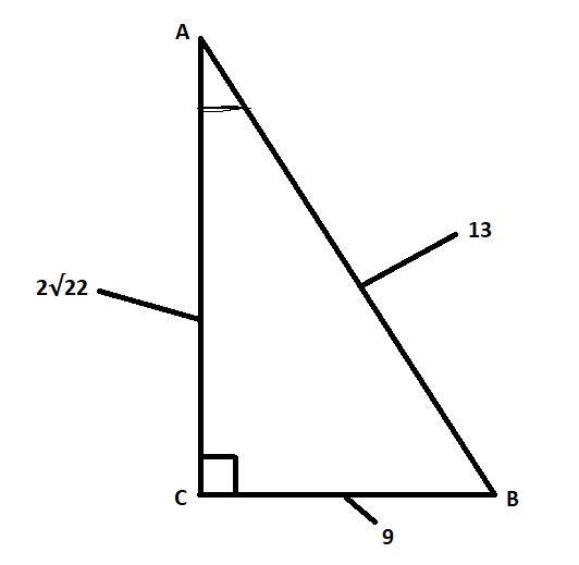 Need help with trigonometry-example-1