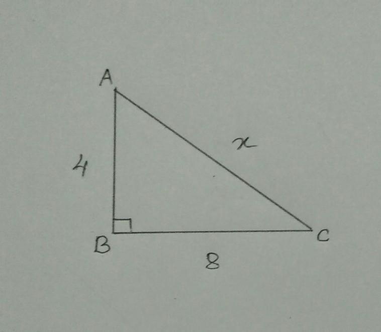 Find the value of x in the triangle below-example-1