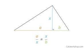 Can someone explain this to me? I'm not entirely sure this question has enough information-example-1