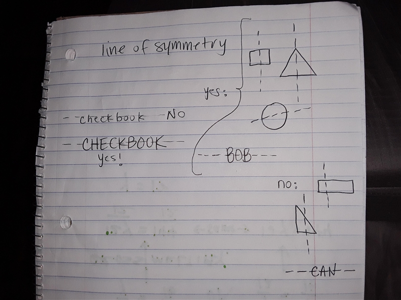 How many lines of symmetry does the word checkbook have?-example-1