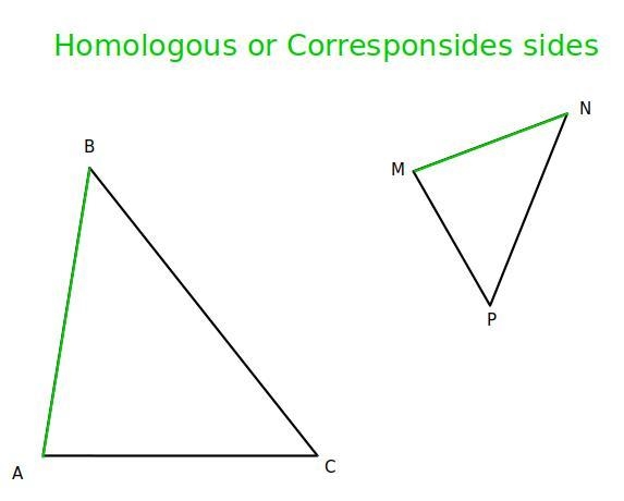 The triangles ABC and MNP are similar to obtain sentences the side homologous to the-example-1