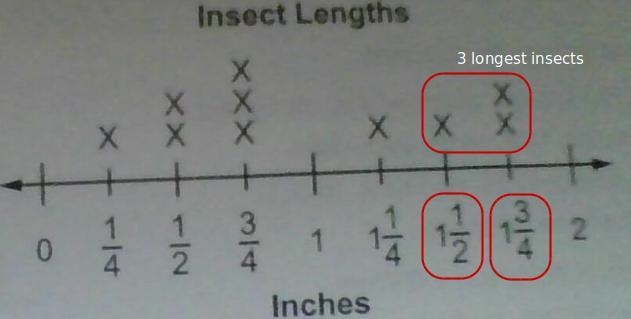 The answer choices are A. 2 1/4 inches B. 3 inches C. 4 1/2 inches D. 5 inches-example-1