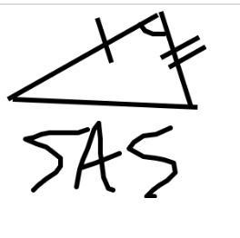 How do you know if a triangle is SSS or SAS?-example-1