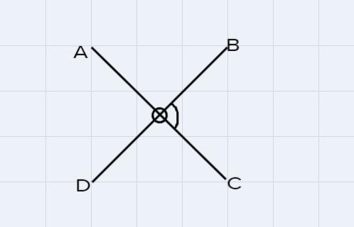 a student claims that a 180 degree rotation of a vertical angle will always map to-example-1