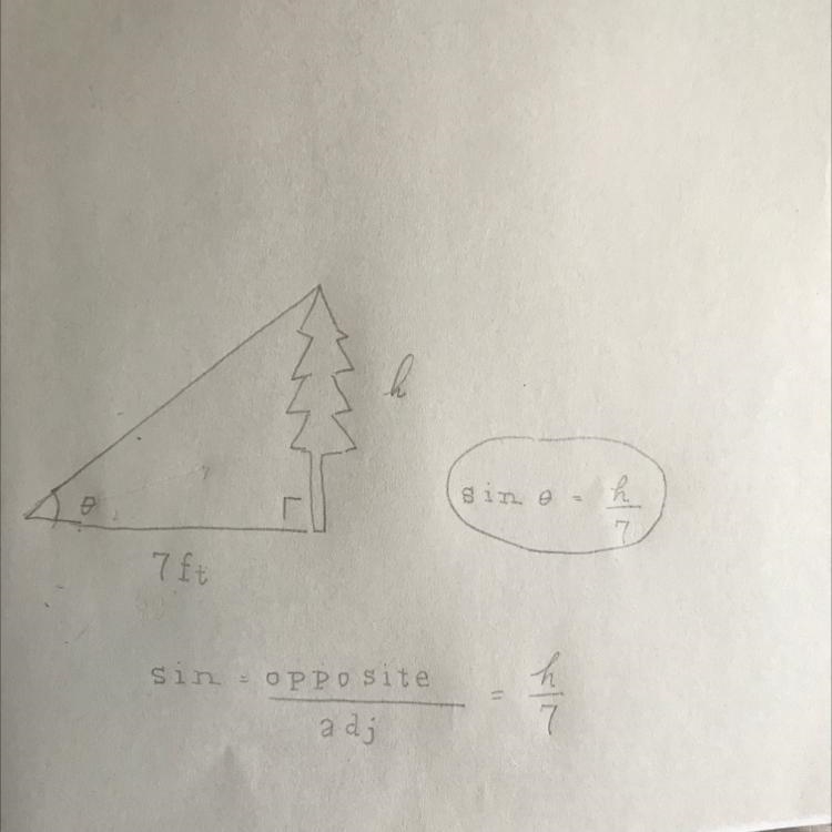 The figure shows a person estimating the height of a tree by looking at the top of-example-1