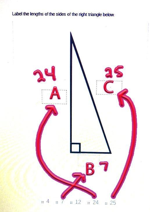 Label the lengths of the sides of the right triangle below-example-1