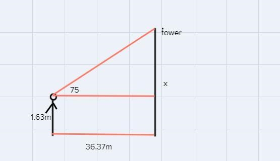 from the base of the tower,you walk 36.37m.from there ,you use the clinometer to measure-example-1