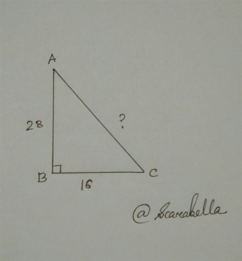 50 PTS!!A right triangle has a leg measuring 16in. And 28in. What is the length of-example-1