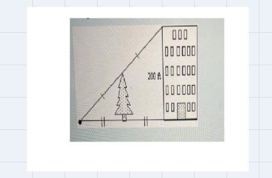 Using the information in the diagram determine the height of the tree-example-1