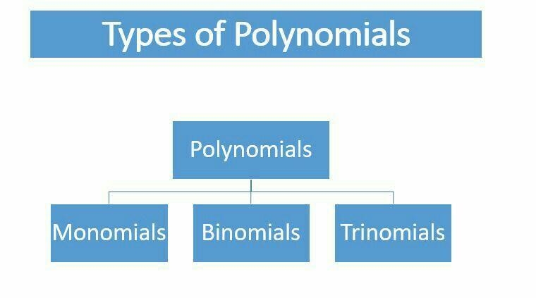 Name the types of polynomial expressions​-example-1